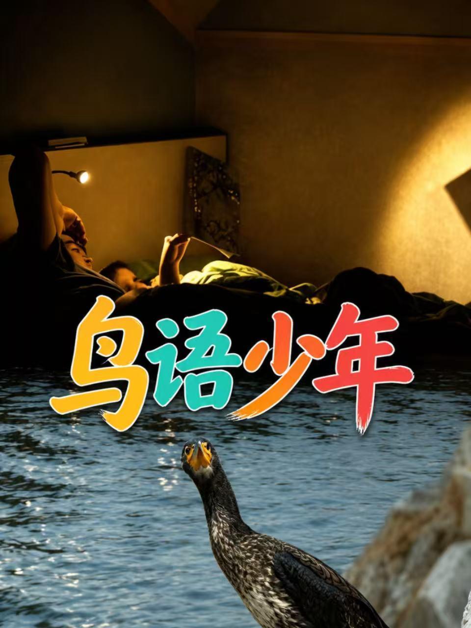 《鸟语少年》完整版免费在线观看