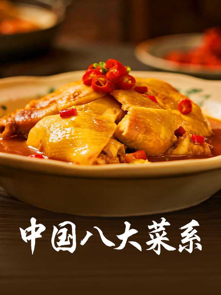 《中国八大菜系》完整版免费在线观看